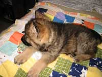 Baby on quilt