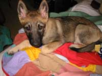 Baby on quilt